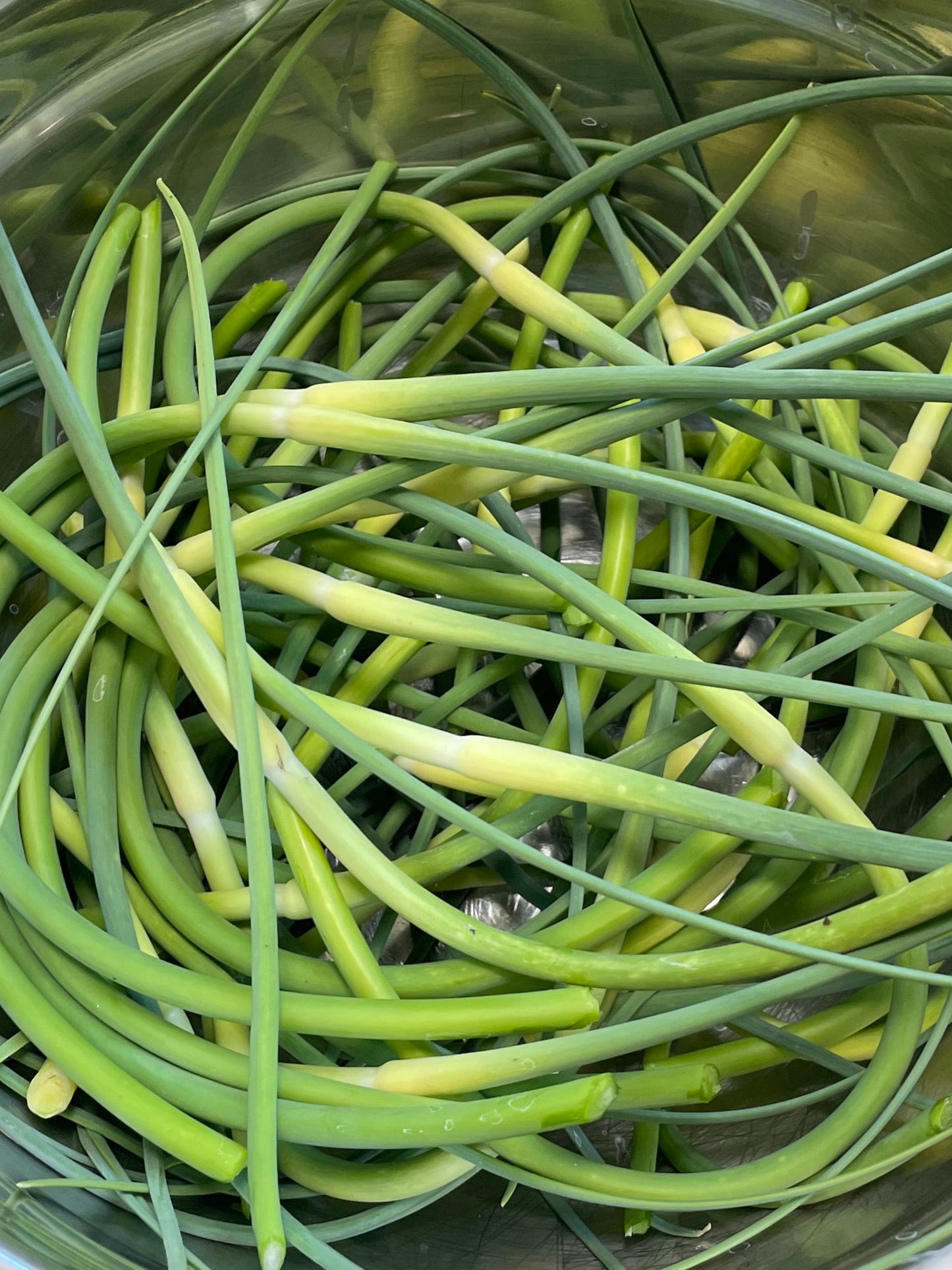 Fresh Garlic Scapes